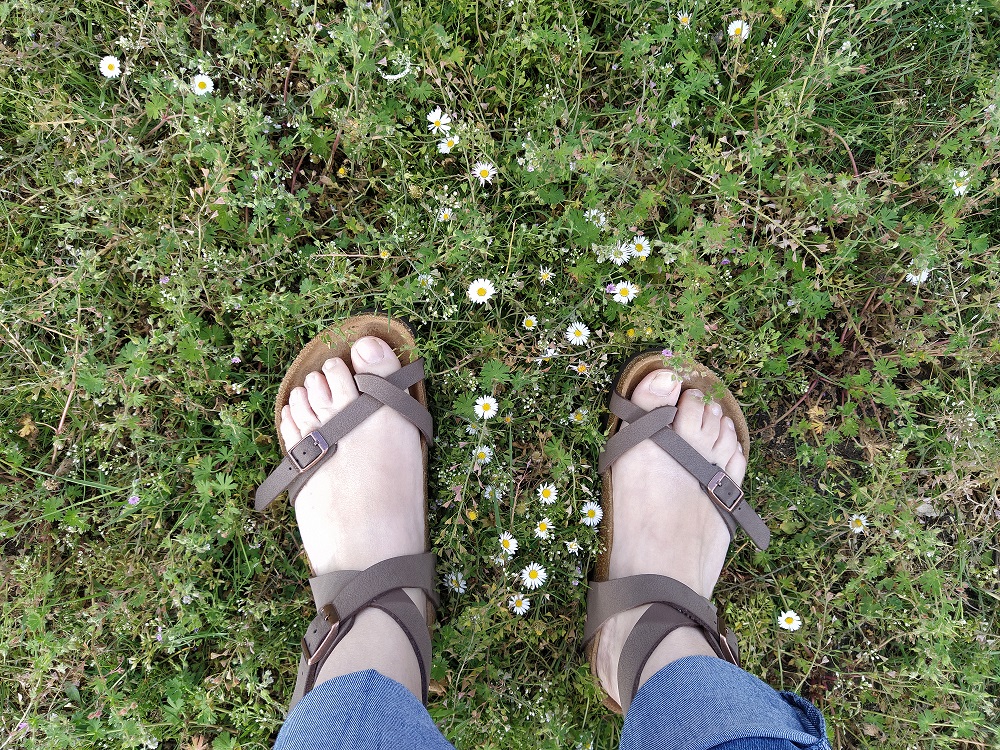 lente sandalen
Dit was mijn week | tomaten, podcasts en webinars