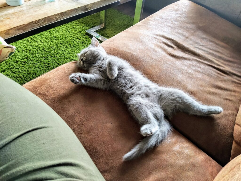 Zelda slapen dit was mijn week