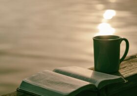 4 Book-ish dingen om te doen in de Lente